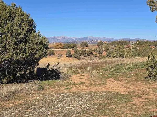 100 & 110 Wrangler Way, Durango, CO 81303