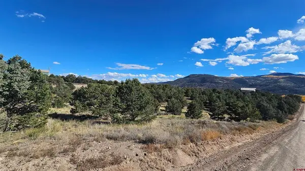 549 Milner Pass Road, South Fork, CO 81154