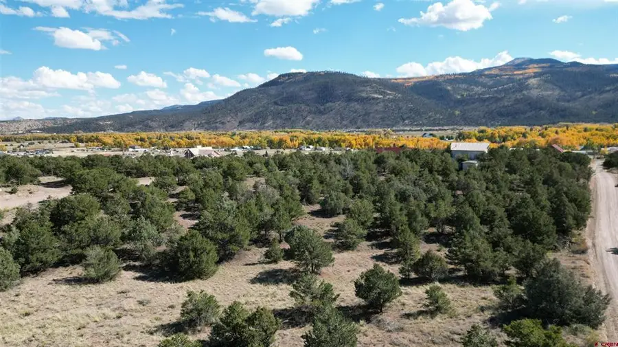 549 Milner Pass Road, South Fork, CO 81154 - #2