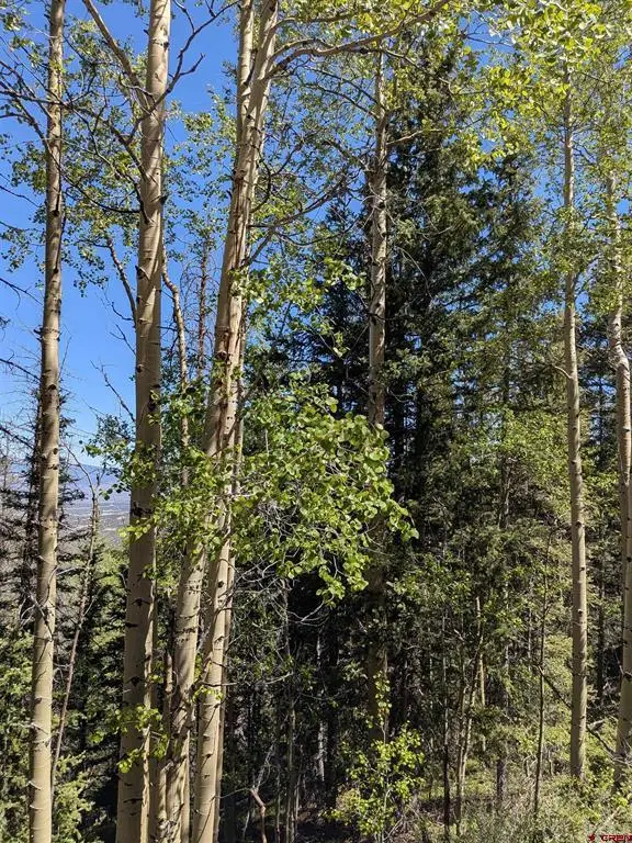 Lot 5374 Adams Road, Fort Garland, CO 81133 - #2
