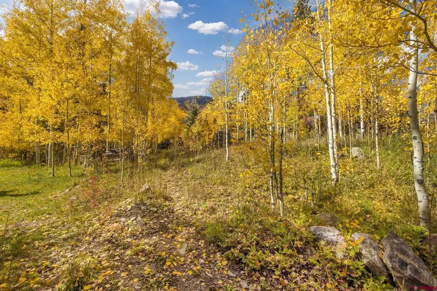Lot 7A Silverglance Way, Rico, CO 81332 - #3