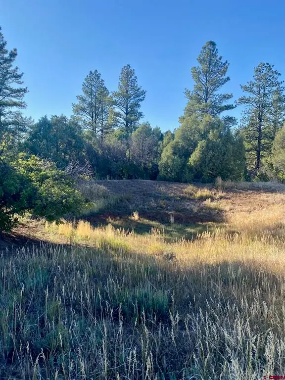 TBD Fsr 259, Dolores, CO 81323 - #2