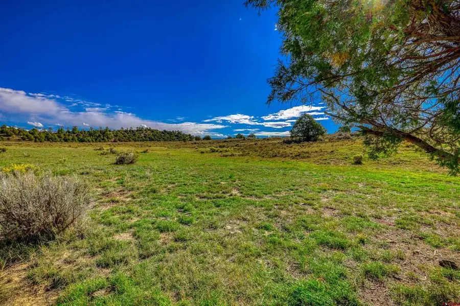 X Tall Pines Place, Pagosa Springs, CO 81147 - #3