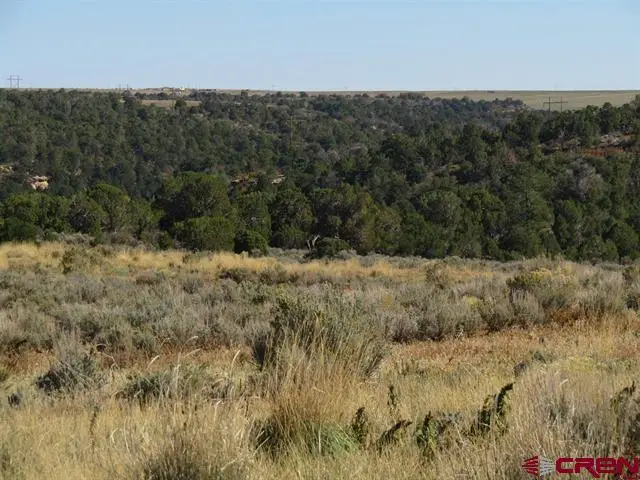 28102 Road 17.5, Pleasant View, CO 81331 - #2