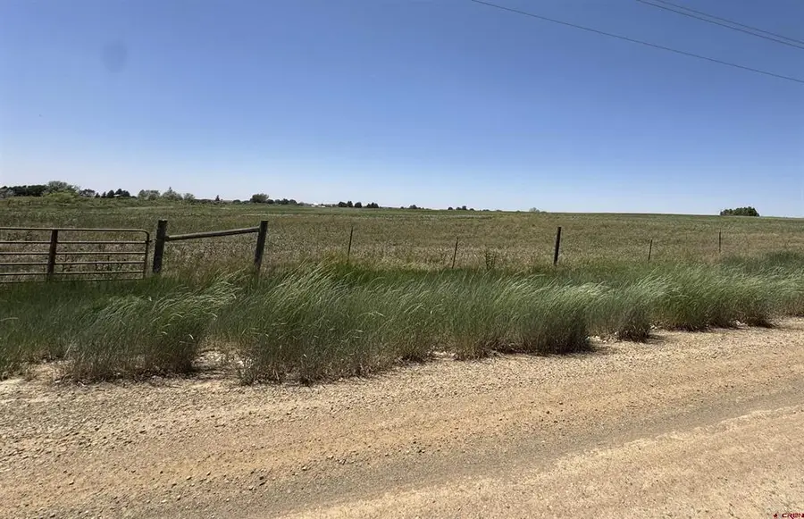 TBD Road W.8, Tract 4, Lewis, CO 81327 - #2