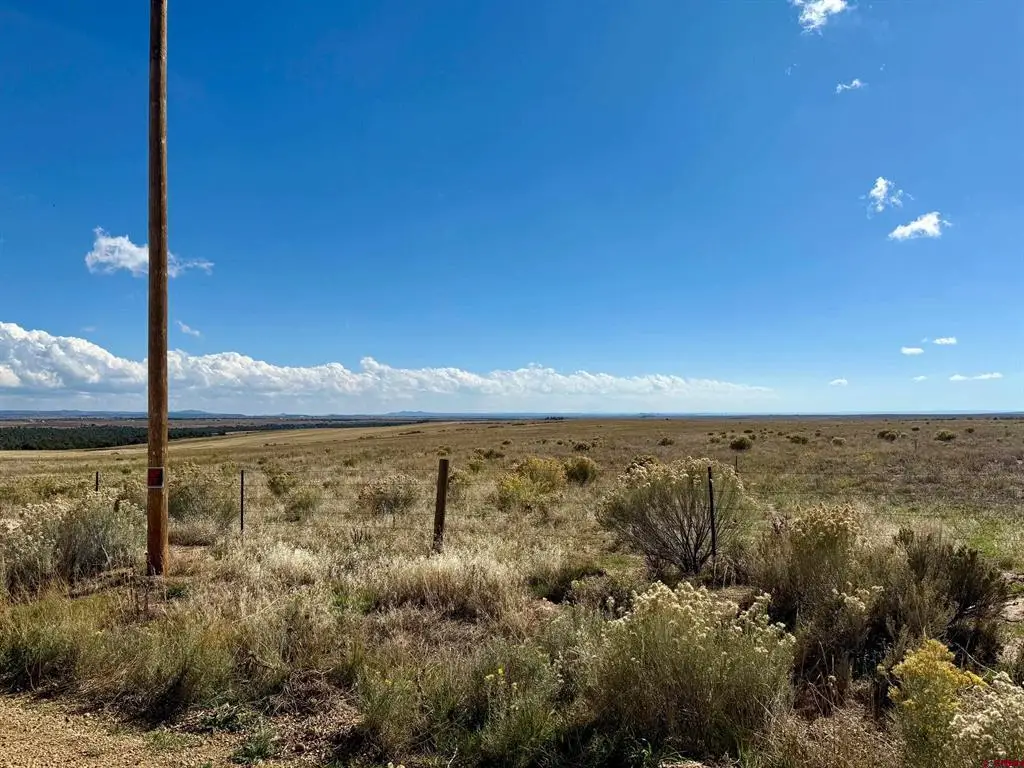 TBD Lot 1 Cr 116, Hesperus, CO 81326 - #1