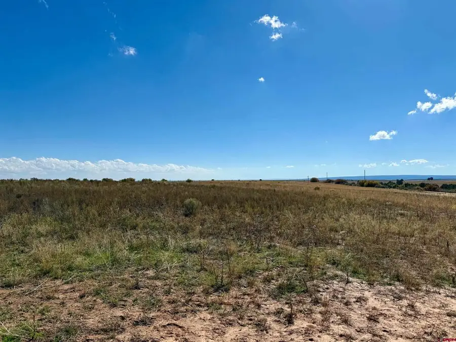 TBD Lot 1 Cr 116, Hesperus, CO 81326 - #2
