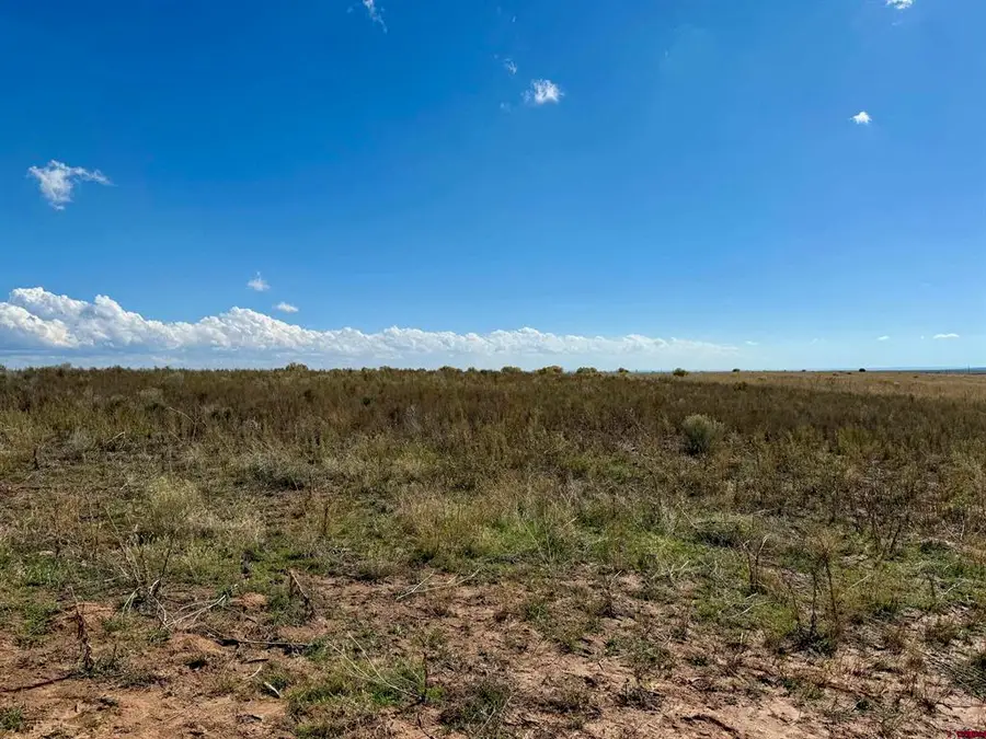 TBD Lot 1 Cr 116, Hesperus, CO 81326 - #3