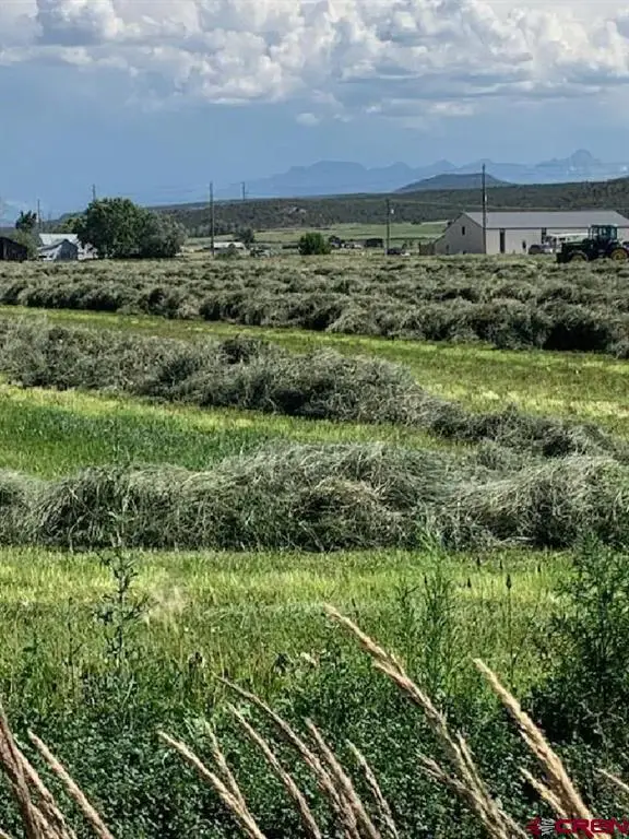 Lot: 1 Highway 550, Montrose, CO 81403 - #2