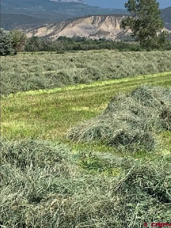 Lot: 1 Highway 550, Montrose, CO 81403 - #3