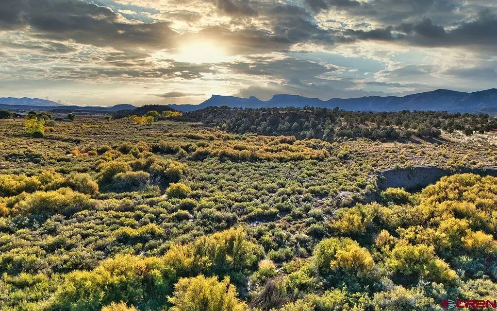 TBD Hwy 160, Cortez, CO 81321 - #1