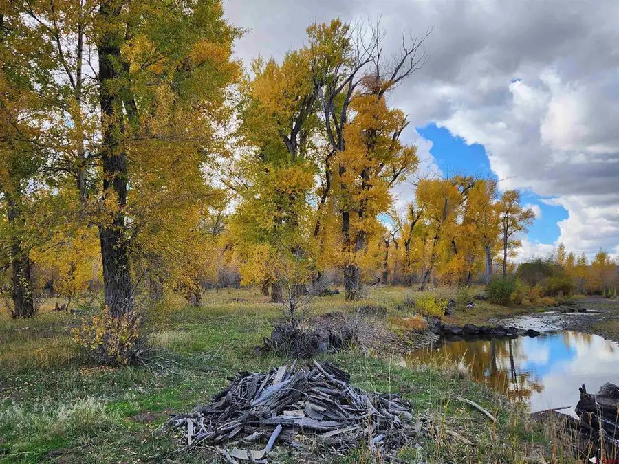 12753 13.5 Road, Antonito, CO 81120 - #3