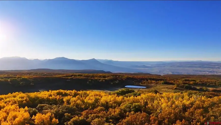 33339 Oak Mesa Road, Hotchkiss, CO 81419 - #3
