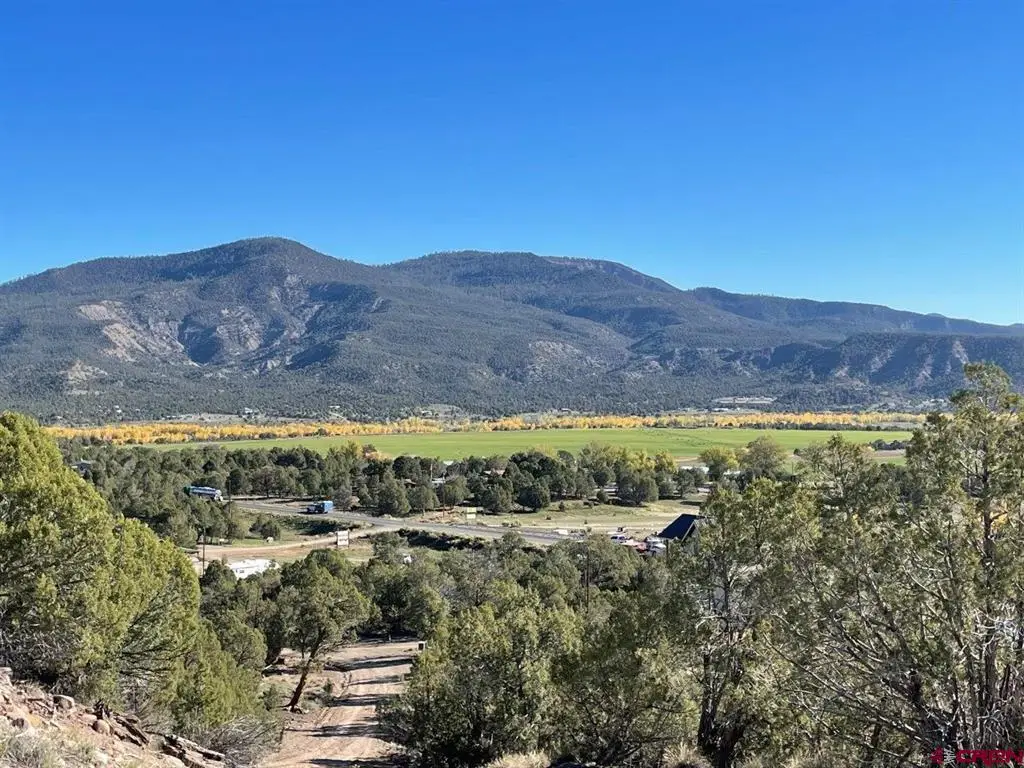 440 Run Around Road, Arboles, CO 81121 - #1
