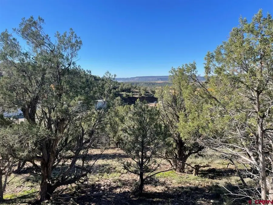 440 Run Around Road, Arboles, CO 81121 - #3