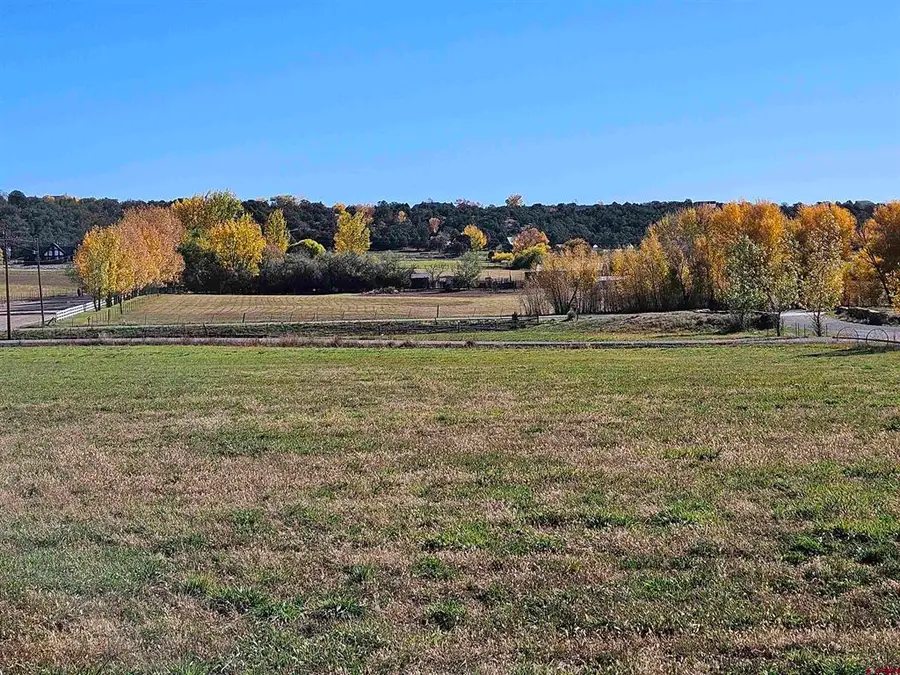 225 Sunrise Boulevard, Durango, CO 81303 - #2