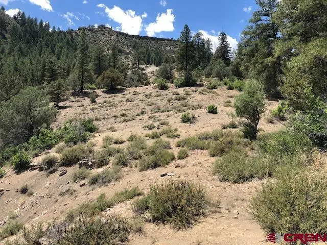 29736 State Hwy 151, Chimney Rock, CO 81147 - #3