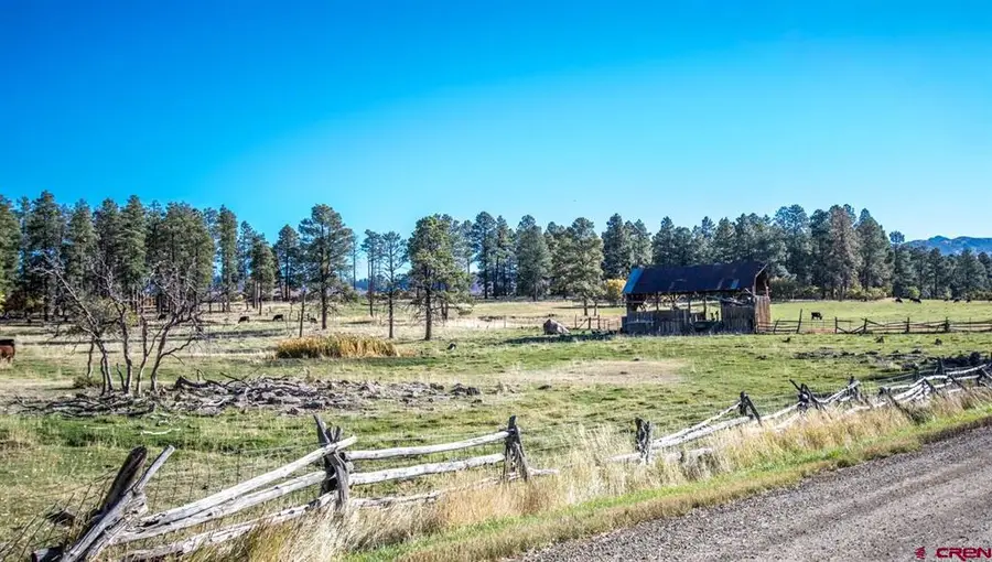 43393 Road M, Mancos, CO 81328 - #3