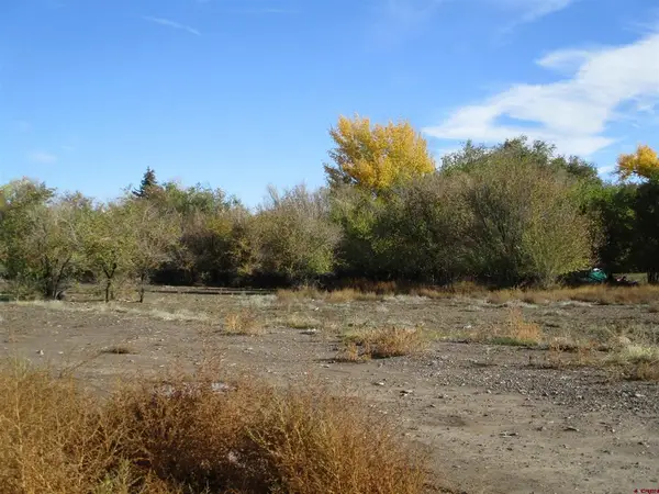 TBD 3rd Common, Delta, CO 81416