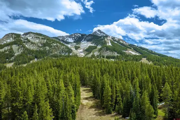 E29 Prospect Drive, Mt. Crested Butte, CO 81225