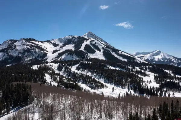 E23 Prospect Drive, Mt. Crested Butte, CO 81225