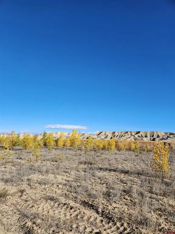 Lot 2 Peach Valley Road, Montrose, CO 81401 - #2