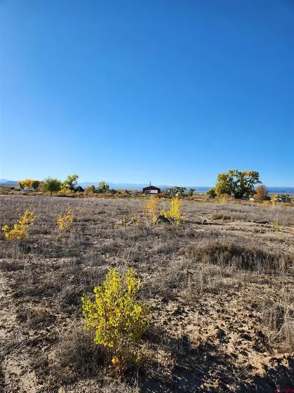Lot 2 Peach Valley Road, Montrose, CO 81401 - #3