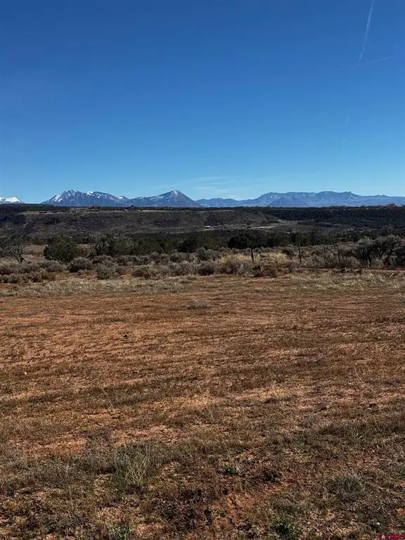 TBD  Lot 14 2625 Lane, Cedaredge, CO 81413
