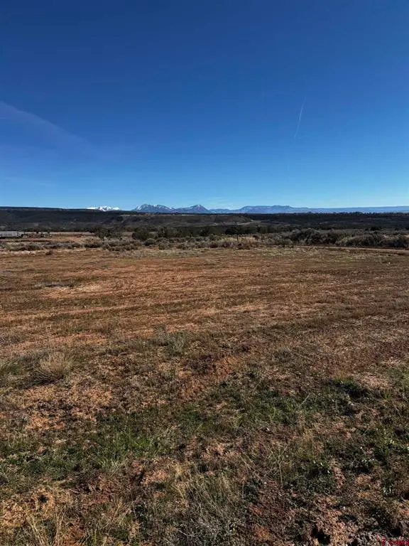 TBD  Lot 14 2625 Lane, Cedaredge, CO 81413 - #2