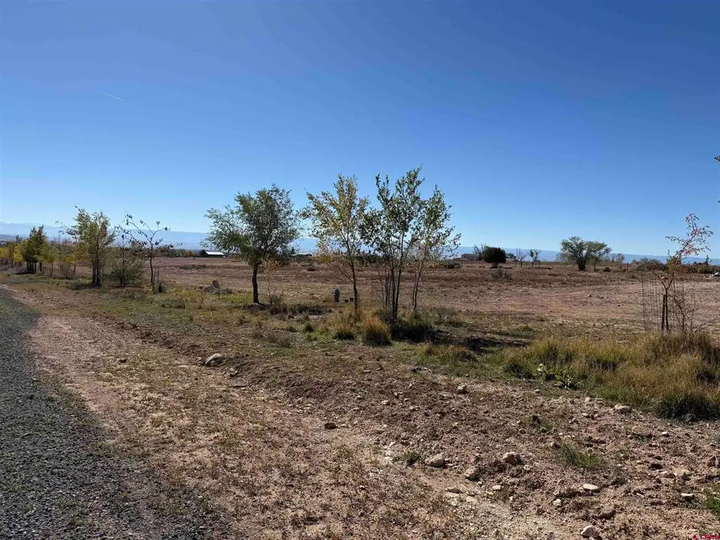 TBD Lot 4 Stardust Lane, Cedaredge, CO 81413 - #1