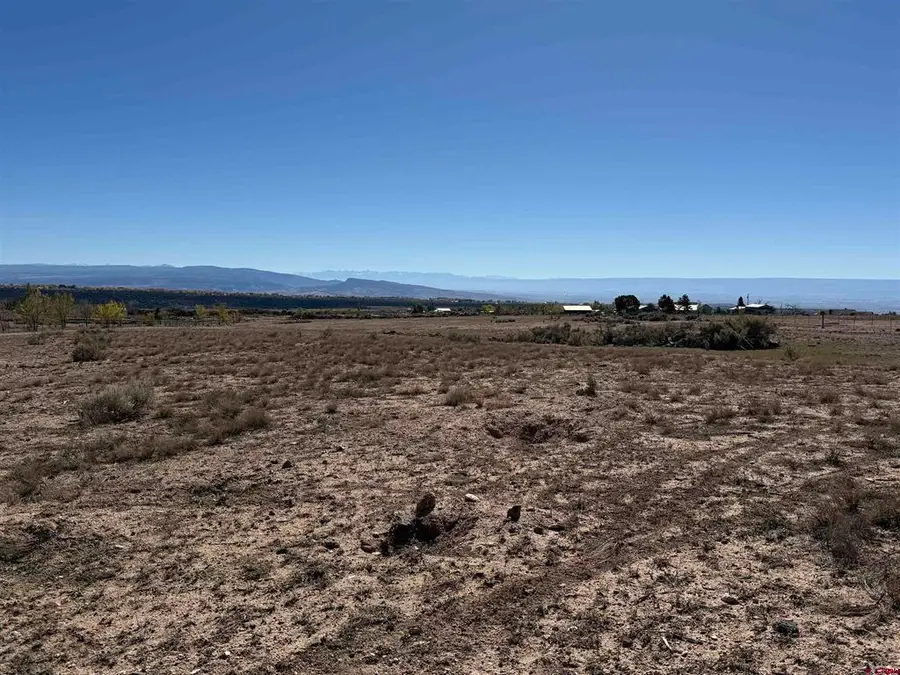TBD Lot 11 2625 Lane, Cedaredge, CO 81413 - #3