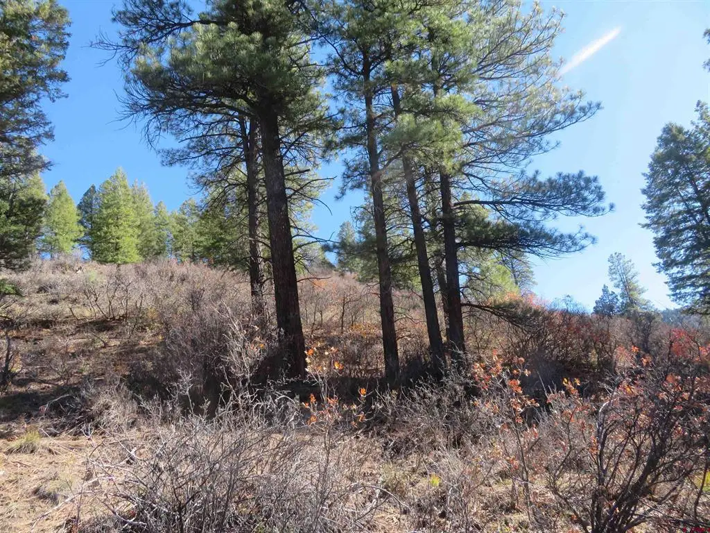 448 Evergreen Drive, Pagosa Springs, CO 81147 - #1