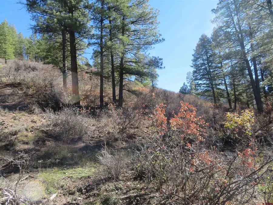 448 Evergreen Drive, Pagosa Springs, CO 81147 - #3
