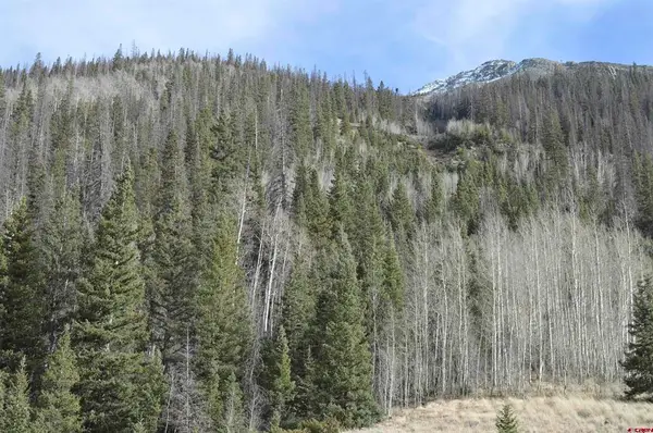 TBD Cr 2 Lupus, Silverton, CO 81433
