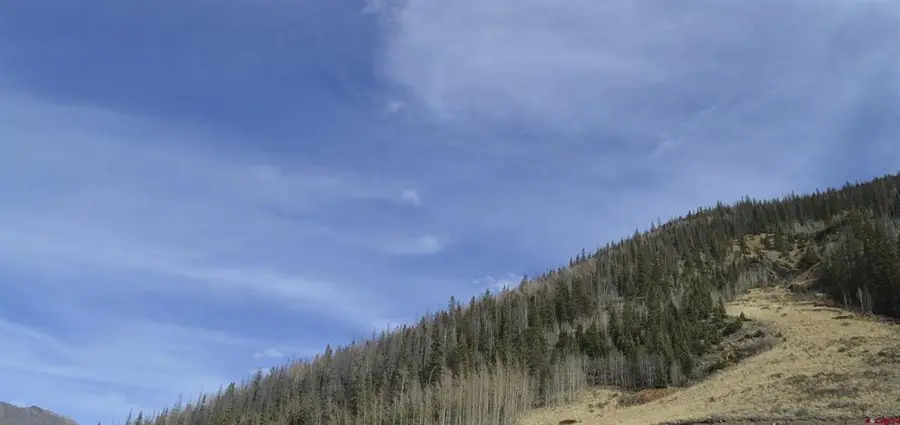 TBD Cr 2 Lupus, Silverton, CO 81433 - #2