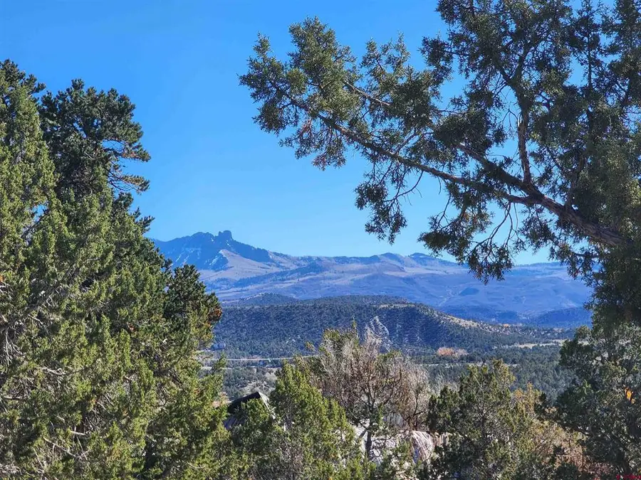 242 Fir Avenue, Crawford, CO 81415 - #2