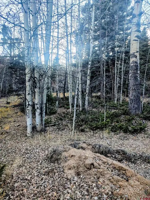 LOT 6364 Jacquez Road, San Luis, CO 81152 - #3