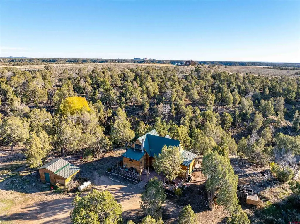 1870 County Road 135, Hesperus, CO 81326 - #1