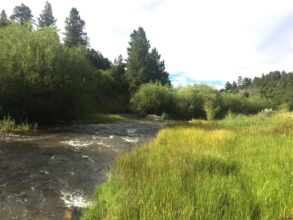 2A W. Beaver Pines Loop, Norwood, CO 81423 - #1