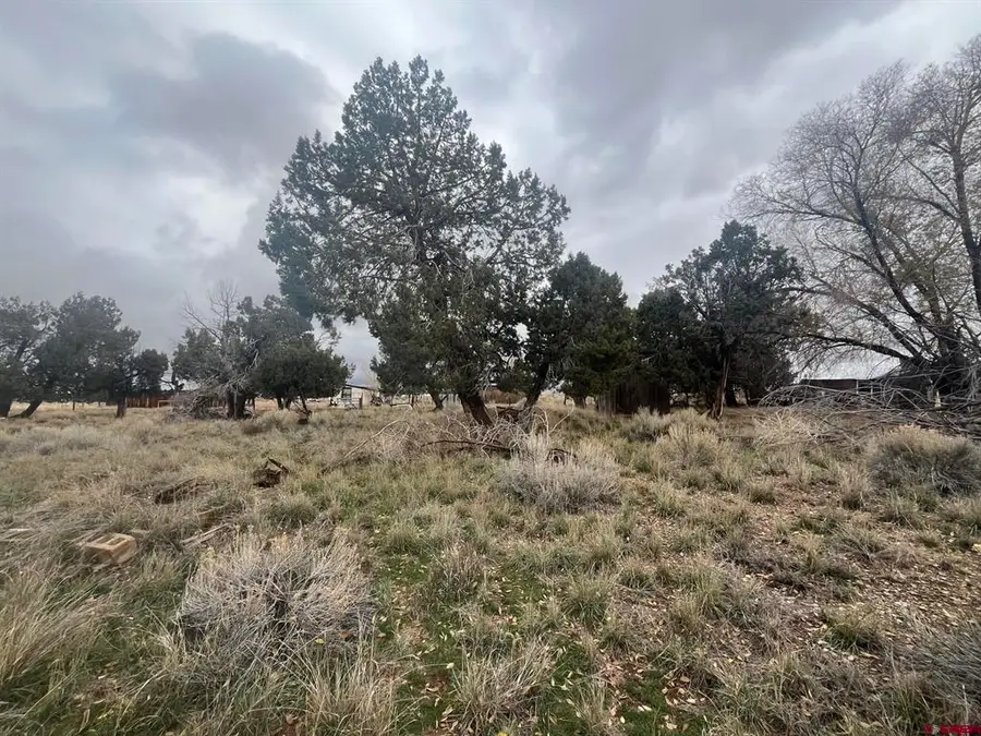 51654 Highway 491, Cahone, CO 81320 - #2