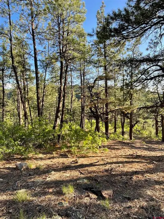 TBW W Hwy 160, Durango, CO 81301 - #1