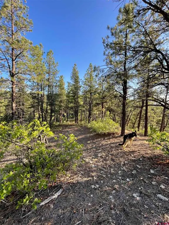 TBW W Hwy 160, Durango, CO 81301 - #3