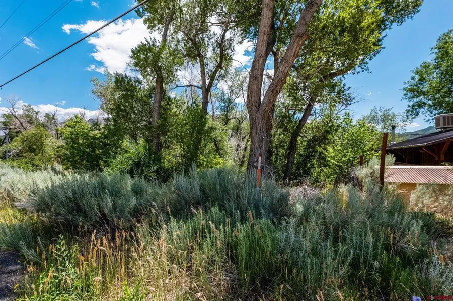 1110 Animas View Drive, Durango, CO 81301 - #2