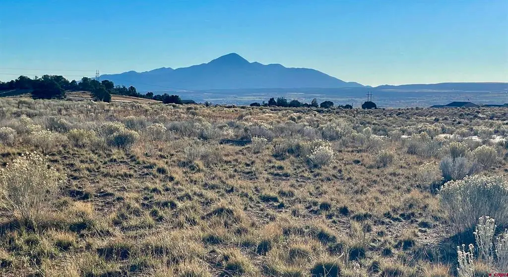 TBD Road 26.4 Lot 9, Dolores, CO 81328 - #1