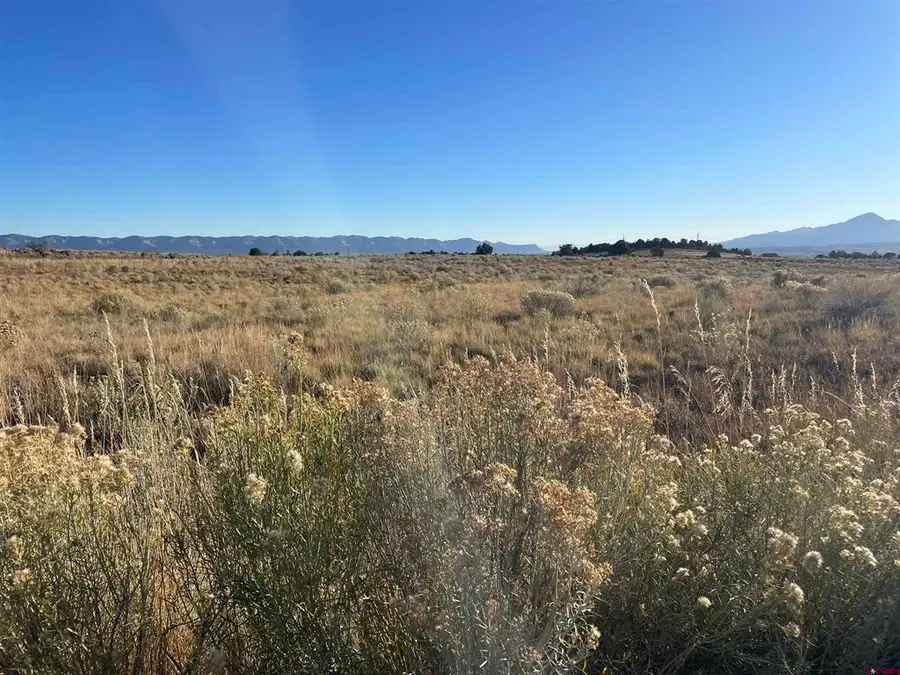 TBD Road 26.4 Lot 9, Dolores, CO 81328 - #3