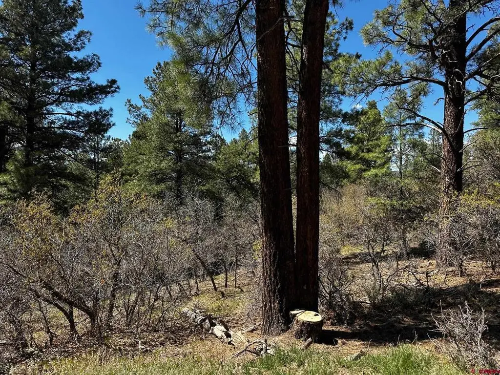 523 Oakridge Drive, Pagosa Springs, CO 81147 - #1