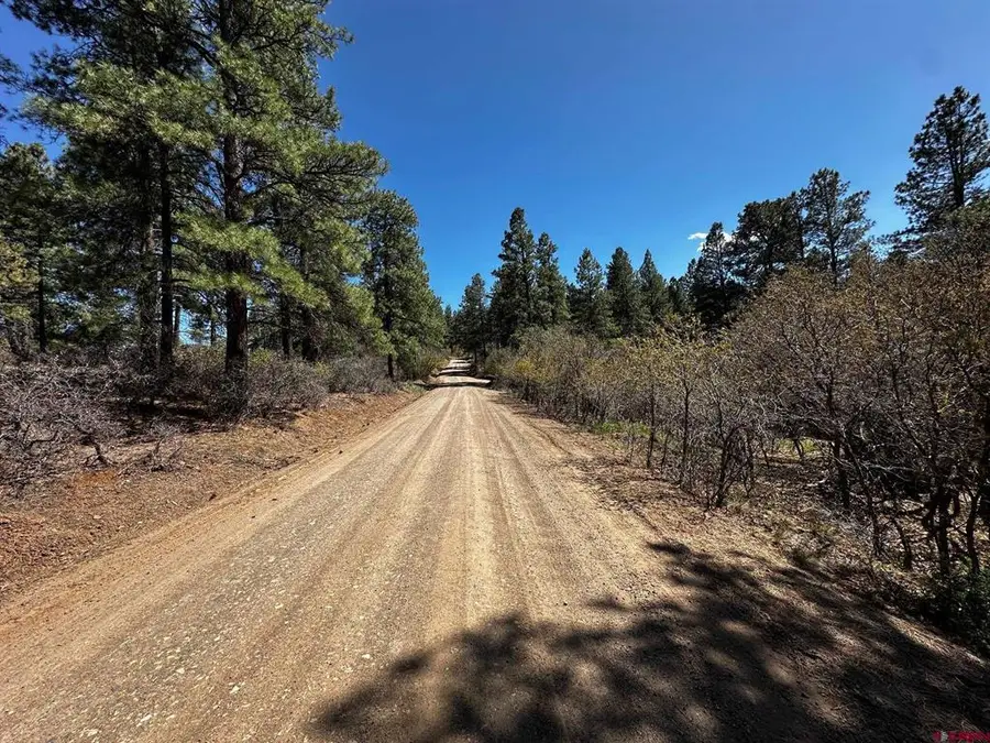 523 Oakridge Drive, Pagosa Springs, CO 81147 - #2