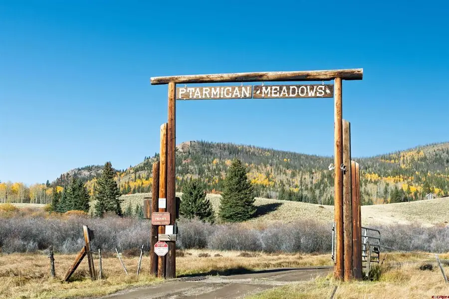 32229 Bristol Head Drive, Creede, CO 81130 - #2