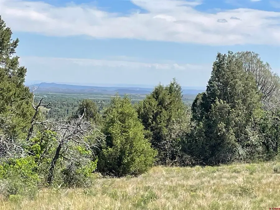 902 Roberts Ridge, Hesperus, CO 81326 - #2