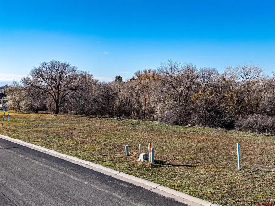 520 SE Stonebridge Drive, Cedaredge, CO 81413 - #3